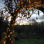 Limon Y Sol *