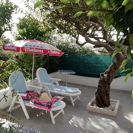 Limon Y Sol Sauzal