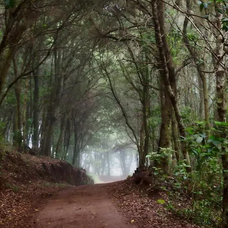 Limon Y Sol Holiday home *