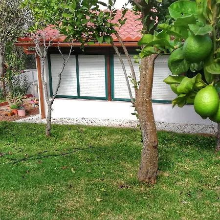 Limon Y Sol Nyaraló Sauzal