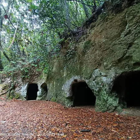 Limon Y Sol Ferienhaus El Sauzal
