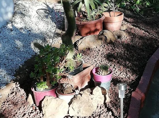 度假居 Limon Y Sol