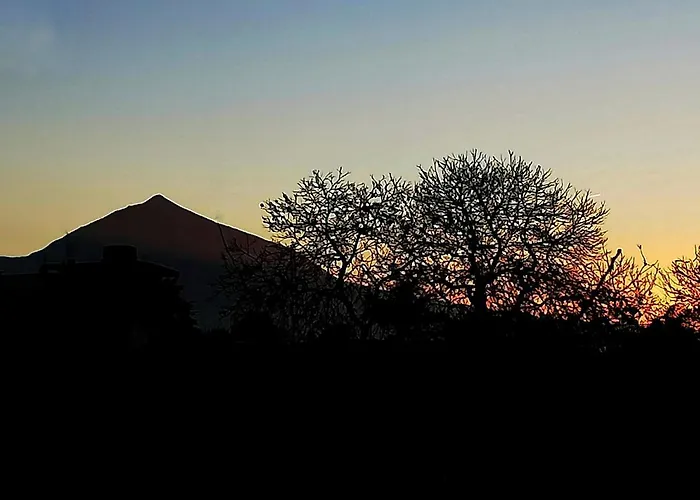 Nyaraló Limon Y Sol *