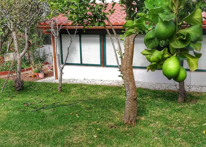 Limon Y Sol Dom wakacyjny Sauzal