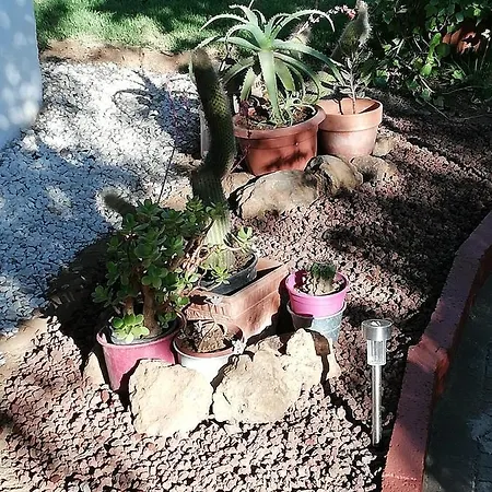 Дом отдыха Limon Y Sol