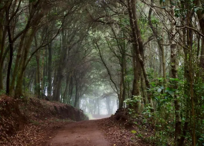 Limon Y Sol Holiday home *