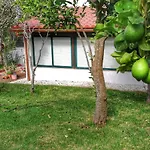 Limon Y Sol 度假居 绍萨尔