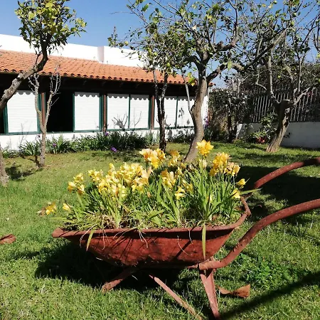 Limon Y Sol *