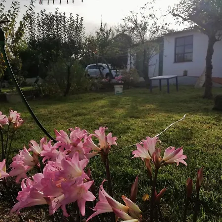 Nyaraló Limon Y Sol Sauzal