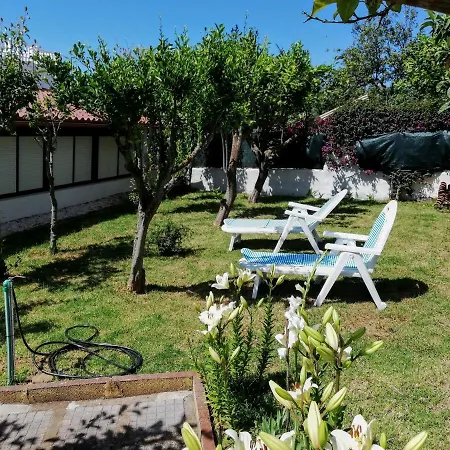 Ferienhaus Limon Y Sol El Sauzal