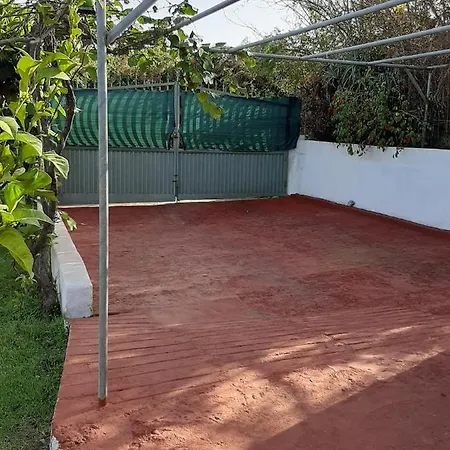 Limon Y Sol Sauzal