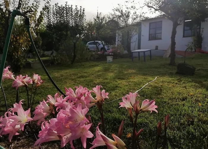 Nyaraló Limon Y Sol Sauzal