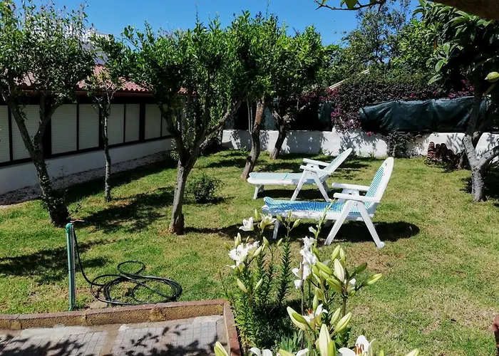 Ferienhaus Limon Y Sol El Sauzal